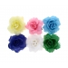 Flower Hair Clip Assorted Colours