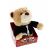 BEARS ON TOUR SINGING BEAR TOY 5 ASSORTED